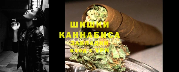 индика Абаза
