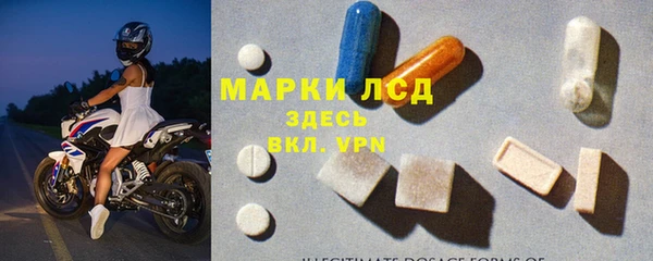 индика Абаза