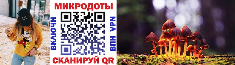 Псилоцибиновые грибы GOLDEN TEACHER  Шумерля 